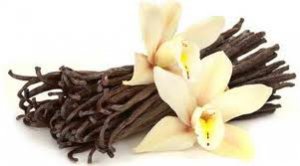 Tahitian Vanilla Scented Hand Sanitizer