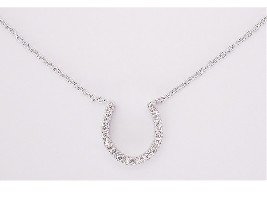 Large Horseshoe Necklace