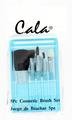 5-piece cosmetic brush w/mirror