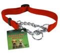 Nylon Dog collar w/chain