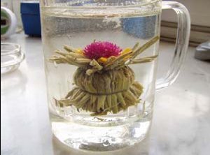 Lotus Light (Item No. 1018)
