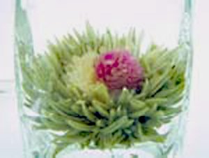 Fantastic Dragon Tea (Item No. 1031)