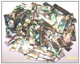 Abalone Shell Blank (Item: GPS1010)