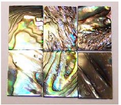 Abalone Shell Blank (Item: GPS1011)