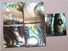 Abalone Shell Blank (Item: GPS1012)