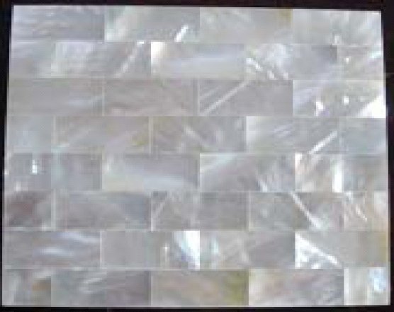 White Lip Shell Tiles (1 Square Meter)