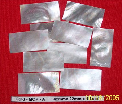 100 pcs of Wild Silver Mother of Pear shell