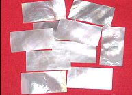 100 pcs of Wild Silver Mother of Pear shell