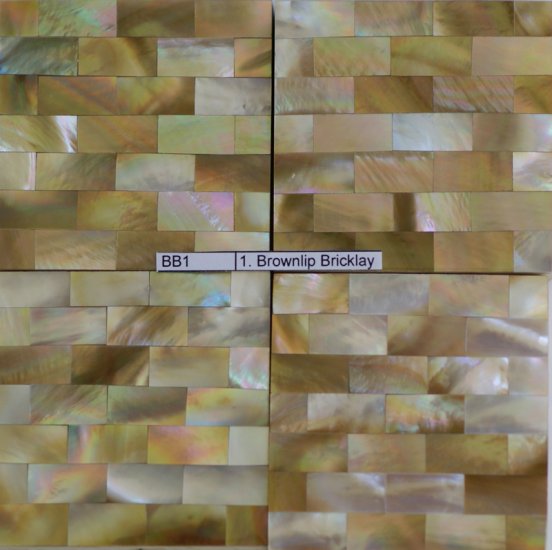 Brown Lip MOP Bricklay Tile