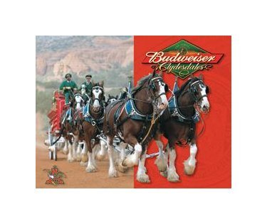 Budweiser Beer Clydesdales Tin Sign