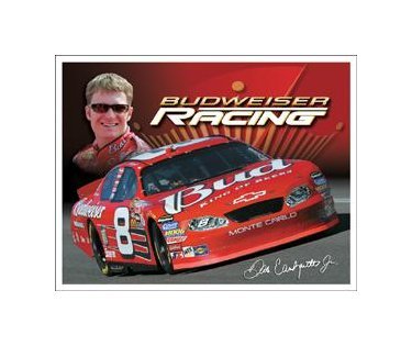 Dale Earnhardt Jr. - #8 Budweiser Racing - 2005 Tin Sign