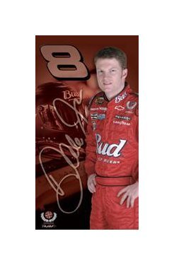 Dale Earnhardt Jr. - #8 Helmet on Car - 2005 Tin Sign