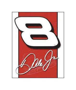 Dale Earnhardt Jr. - #8 Signature Logo Tin Sign
