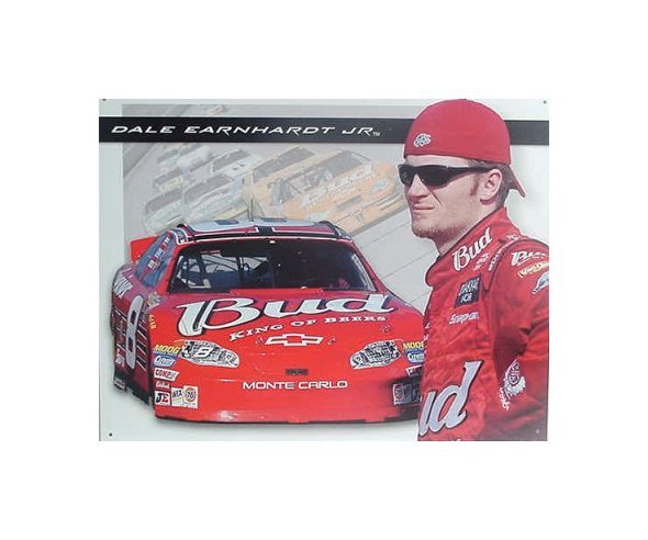 Dale Earnhardt Jr. - #8 Dale With Car Tin Sign