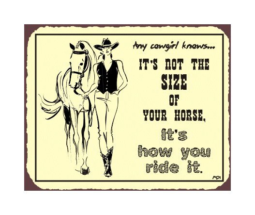 Cowgirls - It's not the Size of Your Horse It's How You Ride It Metal Art Sign