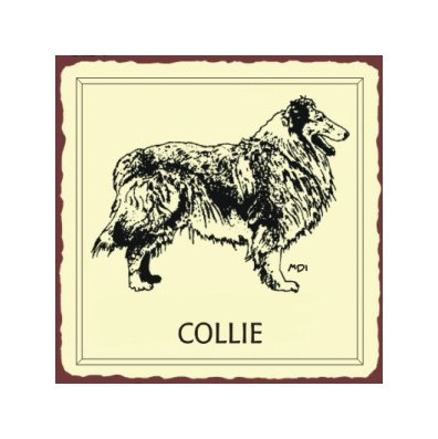 Collie Dog Metal Art Sign