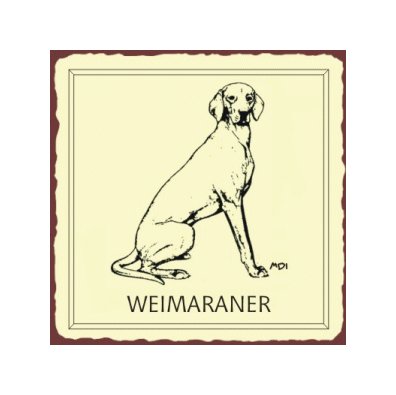 Weimaraner Dog Metal Art Sign