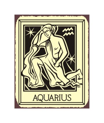 Aquarius Zodiac Metal Art Sign