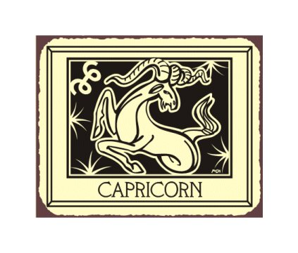 Capricorn Zodiac Metal Art Sign