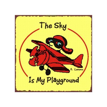 The Sky is My Playground - Airplane Sign - Metal Art Sign