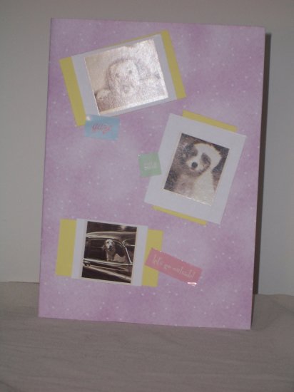 Dog Lovers Notecard
