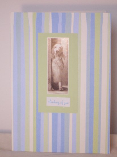 Thinking of You dog card - FREE shipping!