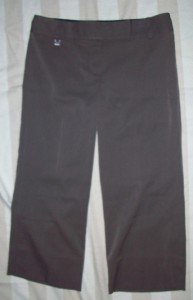 NWT BCBG Maxazria Flat Front Crop Pants 4 NEW $110