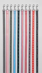 Club Fun 10pc Set Of Assorted Pet Leashes
