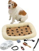8pc Accessory Set for Small Pet