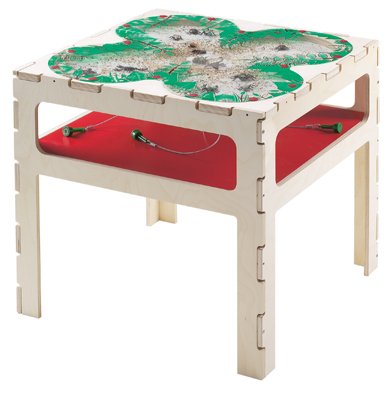 Anatex Magnetic Sand Bug Life Table magnetic learning experience
