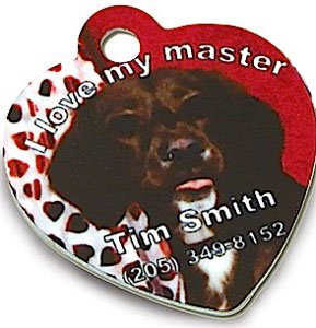 Heart Pet Tag