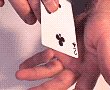 The FreeFloat Card (EBOOK)