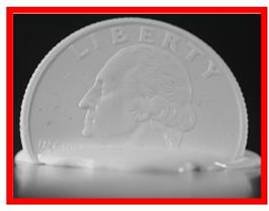 Hopping Quarters (EBOOK)