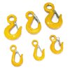 hoist hooks