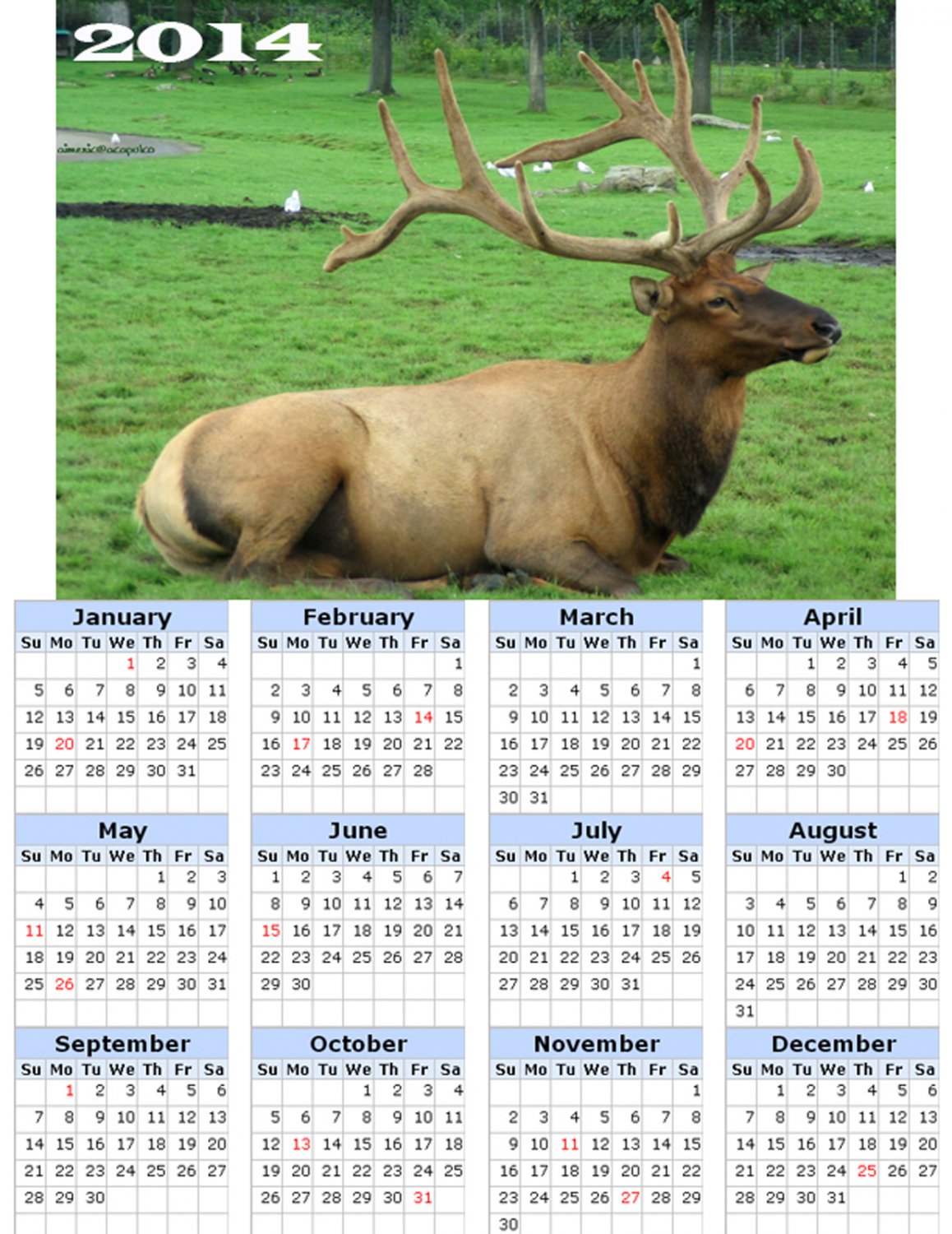2014 calendar toolbox magnet refrigerator magnet Deer #1