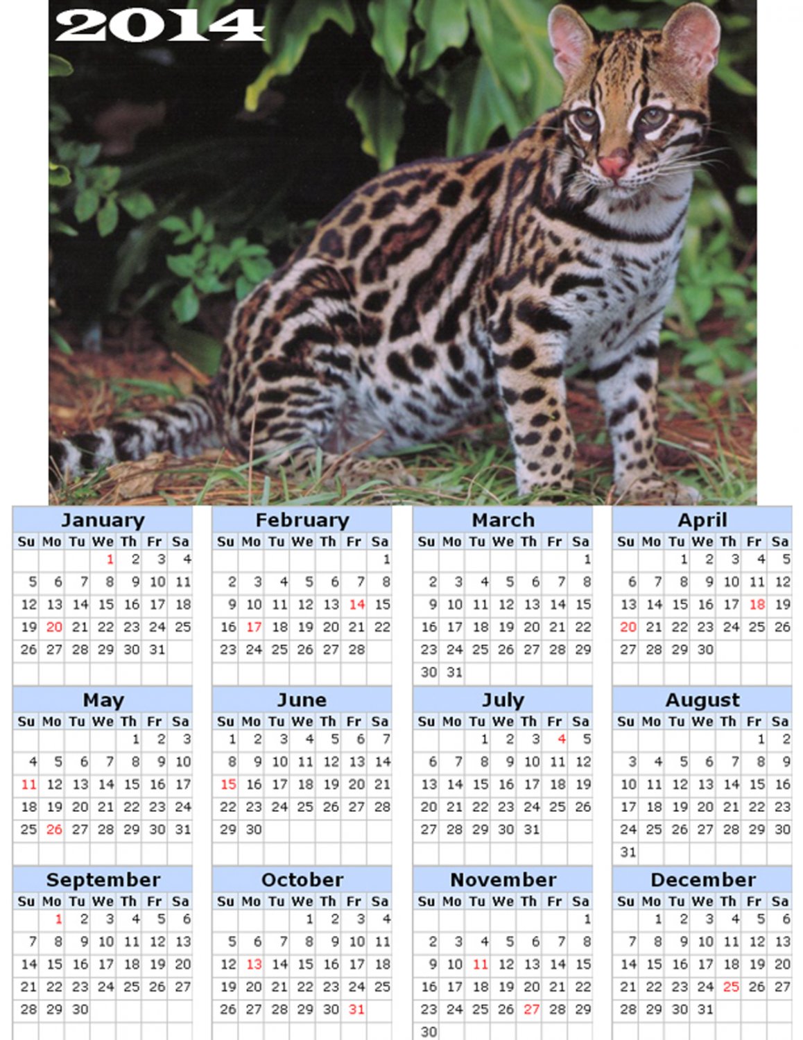 2014 calendar toolbox magnet refrigerator magnet Cats #3