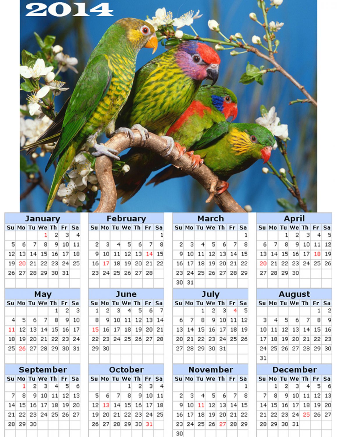 2014 calendar toolbox magnet refrigerator magnet Birds #6