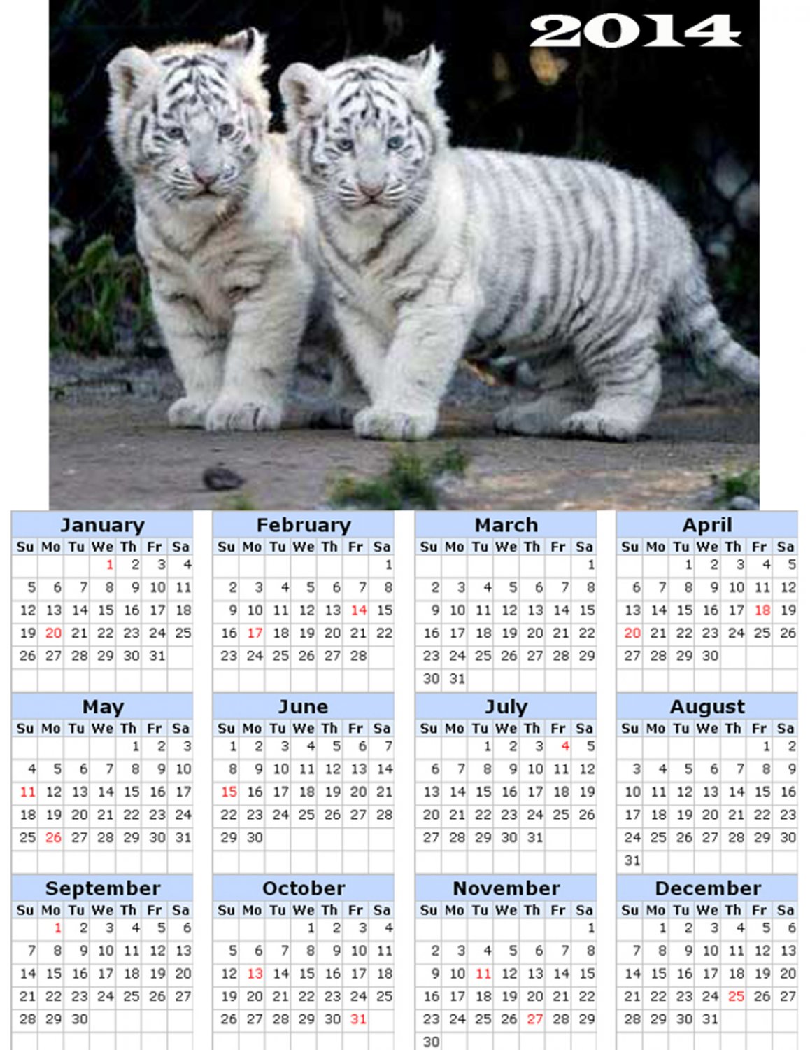 2014 calendar toolbox magnet refrigerator magnet BIG Cats #1