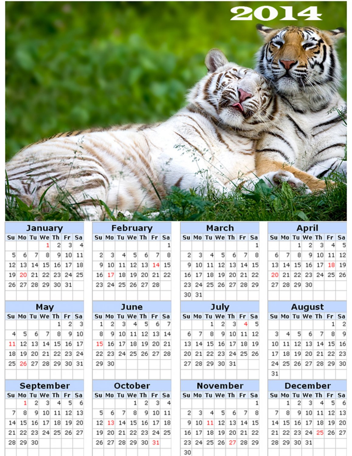 2014 calendar toolbox magnet refrigerator magnet BIG Cats #2