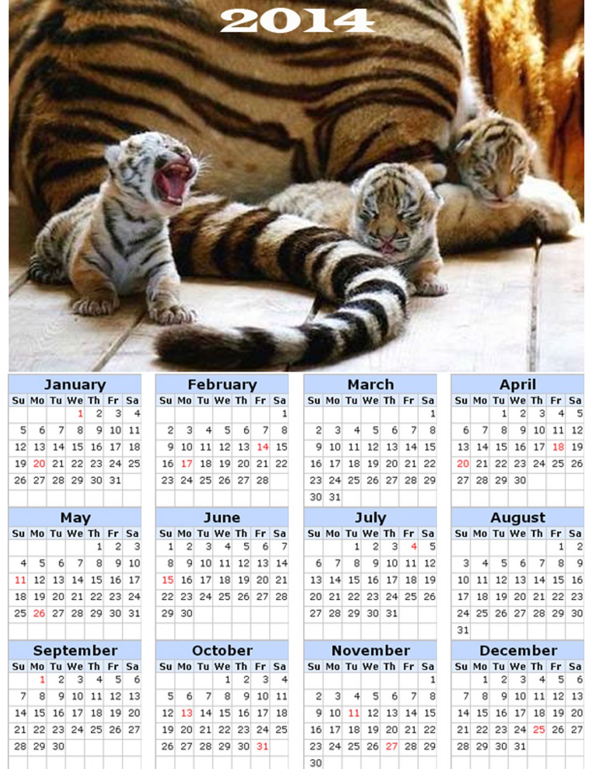 2014 calendar toolbox magnet refrigerator magnet BIG Cats #3