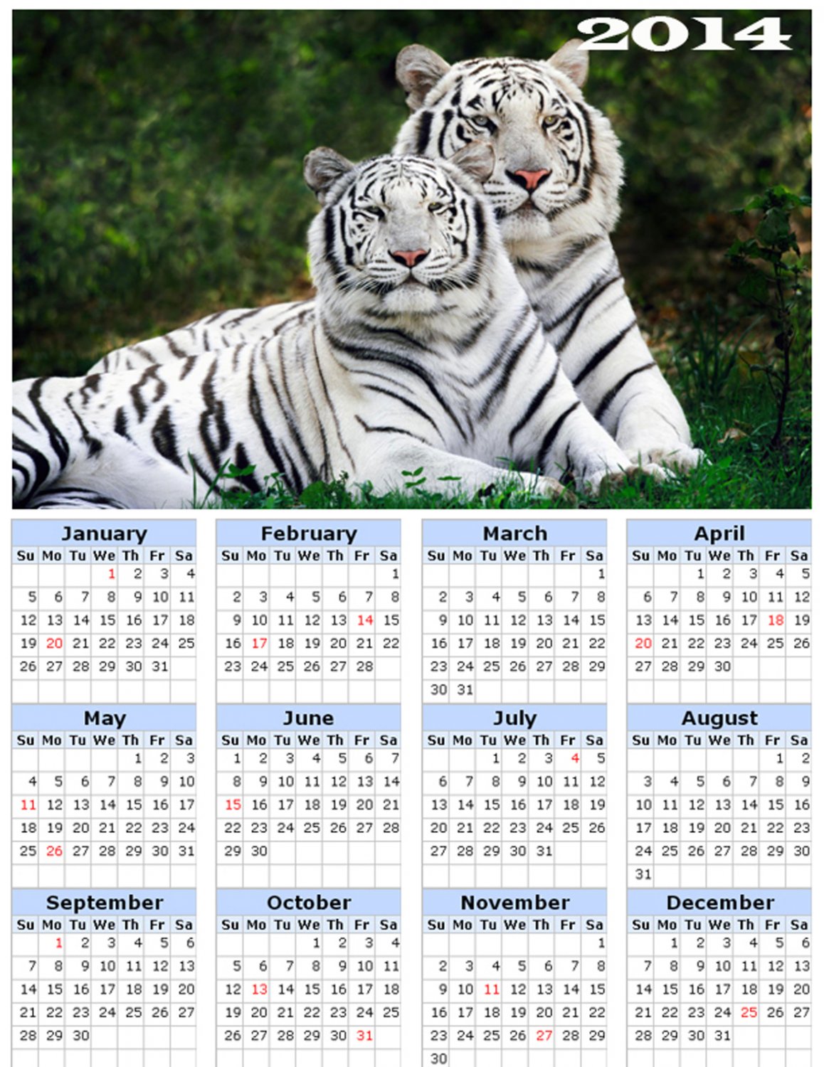 2014 calendar toolbox magnet refrigerator magnet BIG Cats #5