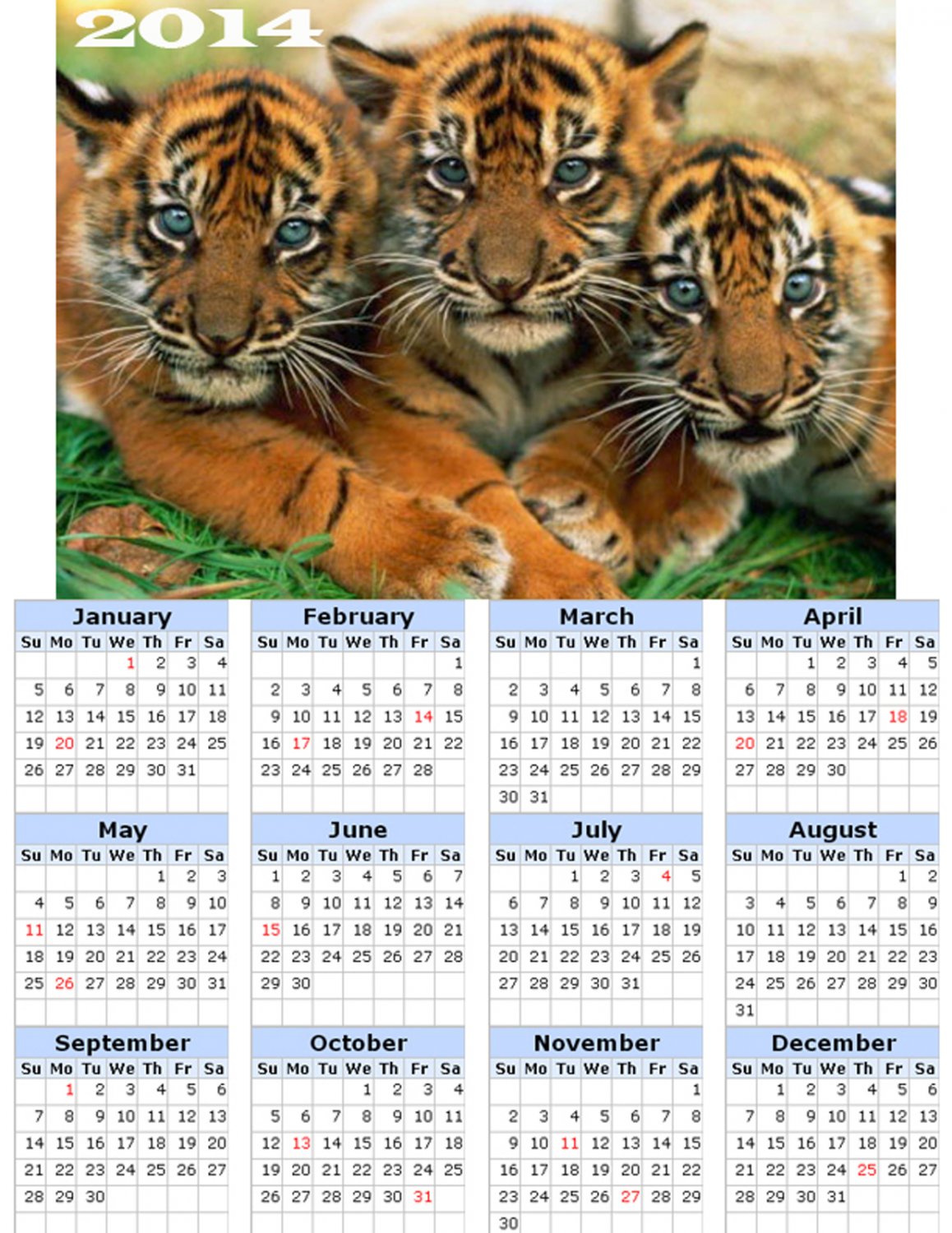 2014 calendar toolbox magnet refrigerator magnet BIG Cats #7