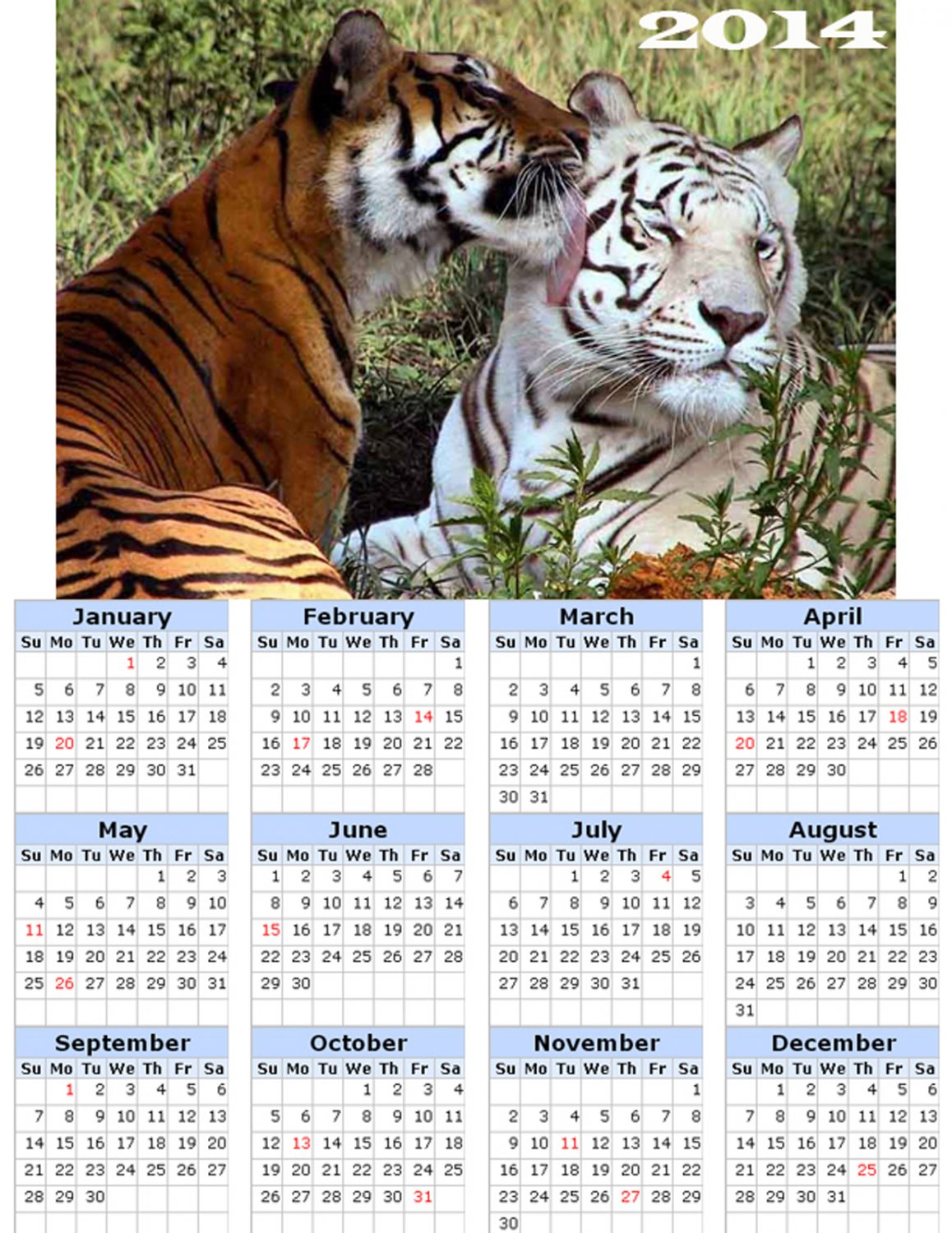 2014 calendar toolbox magnet refrigerator magnet BIG Cats #9