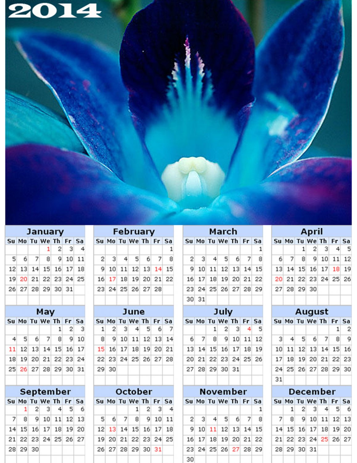 2014 calendar toolbox magnet refrigerator magnet Flowers #2