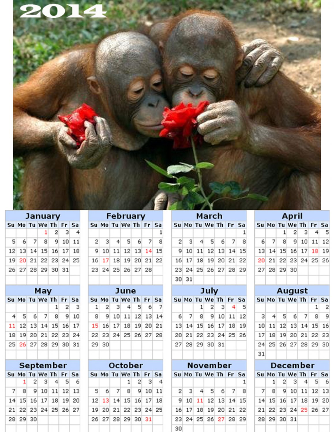 2014 calendar toolbox magnet refrigerator magnet Primates #1