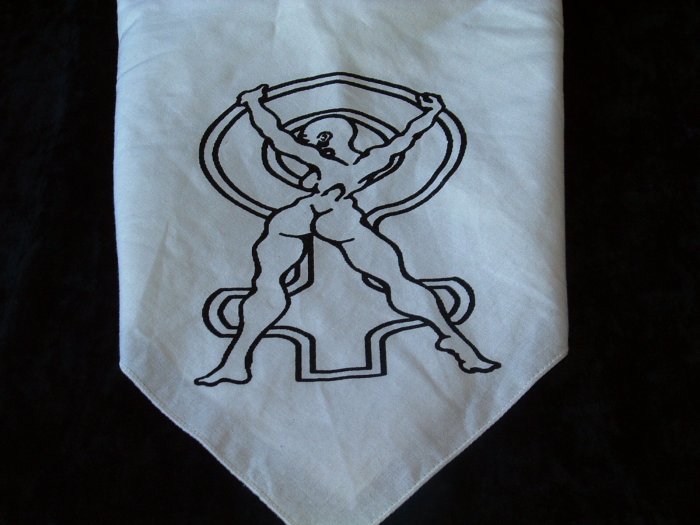 The Naked Truth Bandana