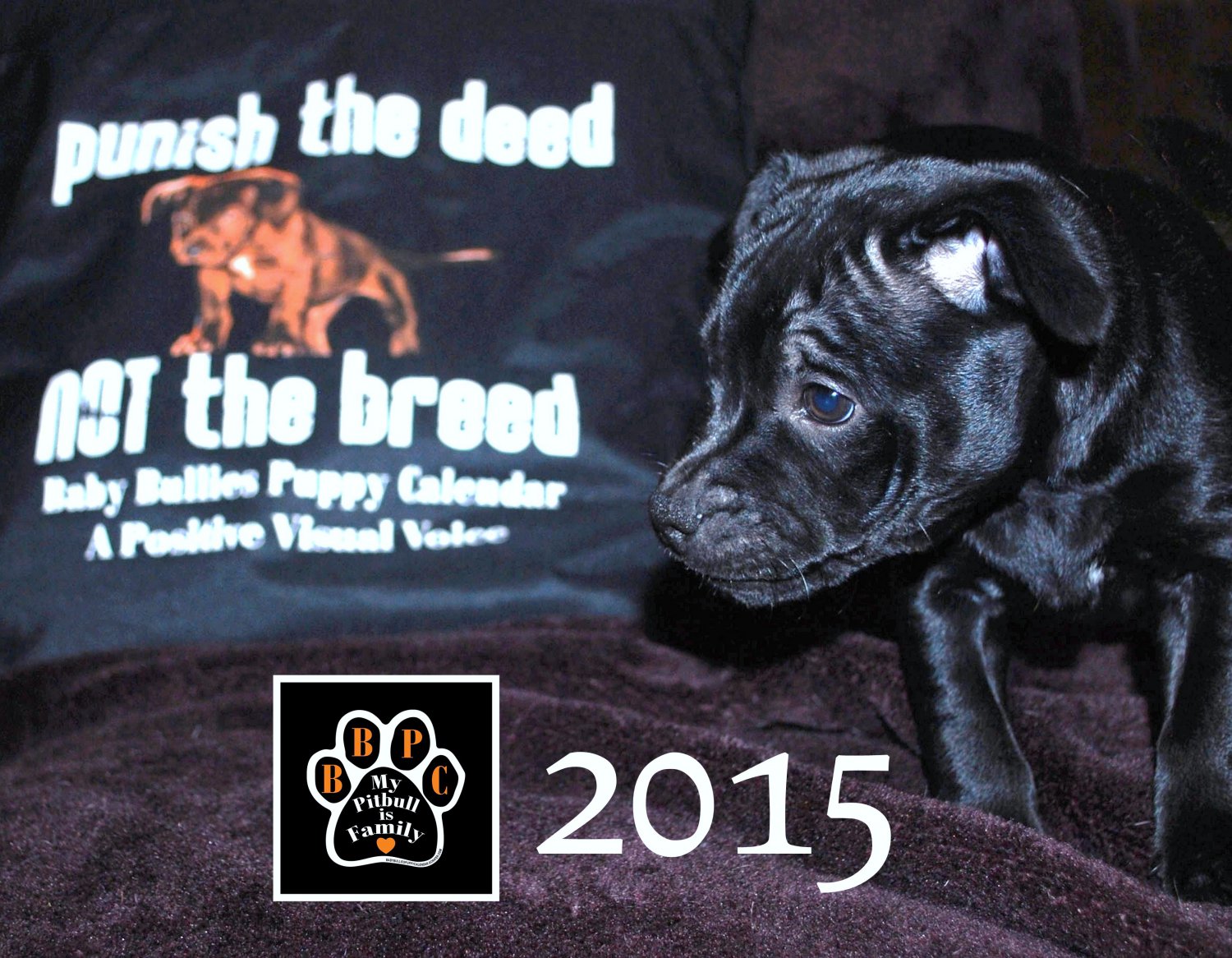 BABY BULLIES PUPPY CALENDAR 2015