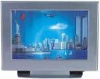 LCD Motion Fish Lamp New York