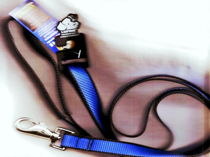Lupine 6ft. Lead Blue/black trim
