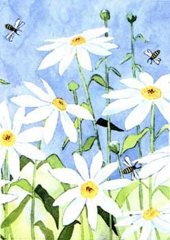 DAISIES & BEES Toland Decorative Garden Flag Large Daisy